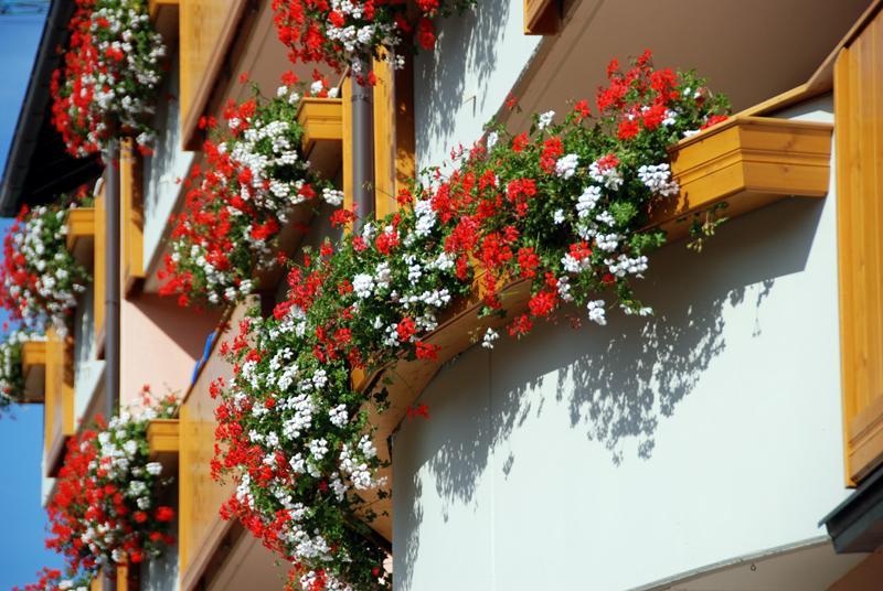 Residence Antares Andalo Zewnętrze zdjęcie